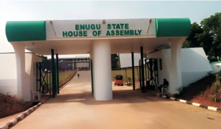 Why LP cannot Lead Enugu Assembly Despite Being Majority