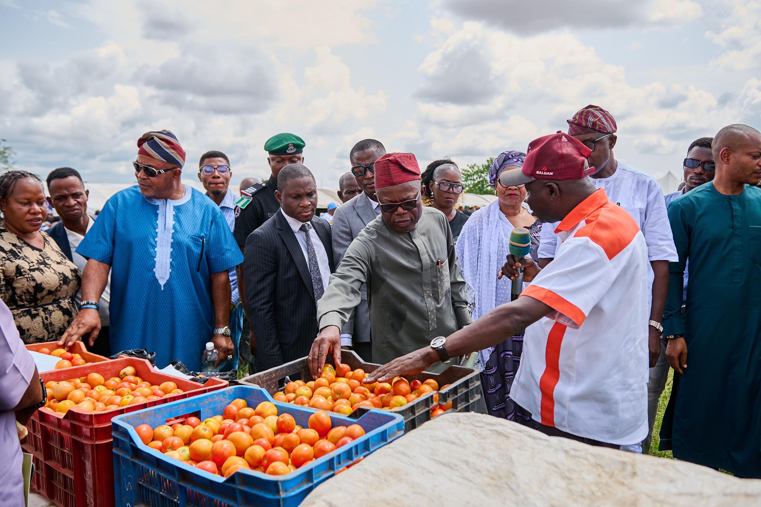 Ondo Govt flags off 2024 planting season, says it distributed farm inputs to over 20,000 in one year