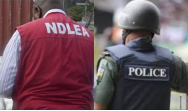 Gunshots Erupt as Police and NDLEA Clash Over Arrest of Suspected Drug Dealer