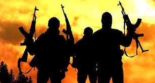 U.S.-Based Nigerian Soldier Killed, Wife Abducted in Imo State Ambush