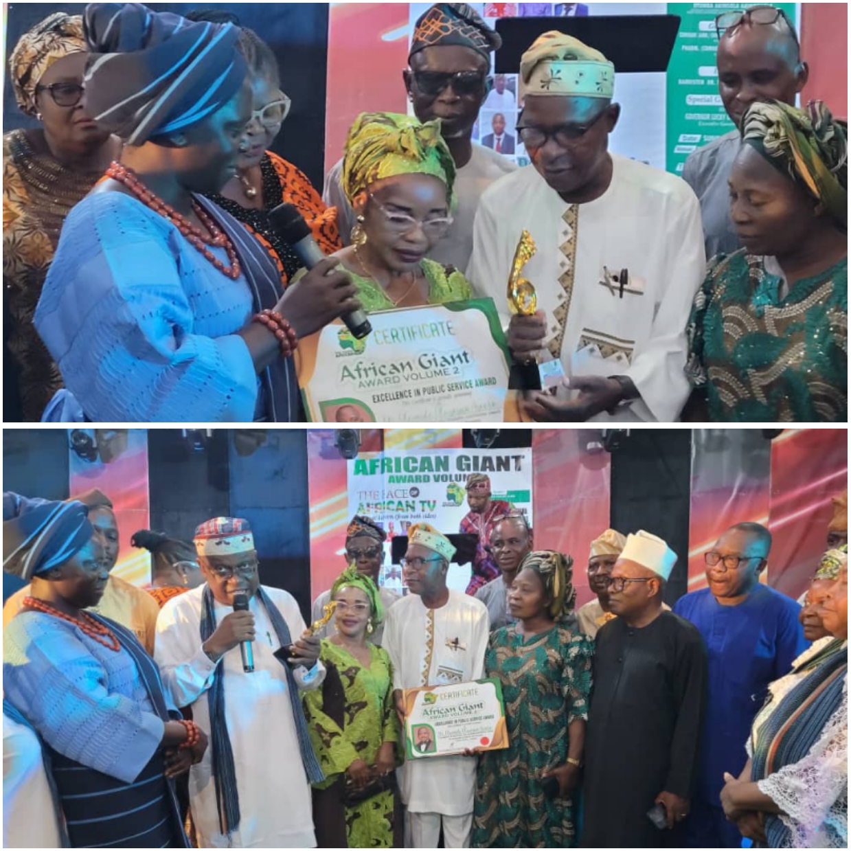 Dr. Olusegun Ayodeji Adeleye Bags African Businesses Titan Award