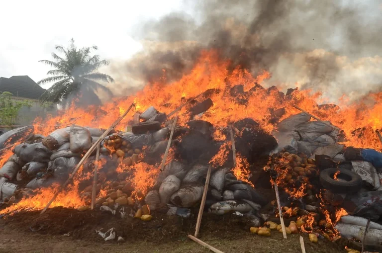 NDLEA Destroys ₦2.8 Billion Worth of Illicit Drugs in Edo NDLEA Destroys ₦2.8 Billion Worth of Illicit Drugs in Edo