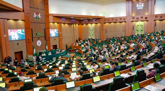 Reps Demand Compensation for Nigerians Hit by South Africa Xenophobic Attacks Reps Demand Compensation for Nigerians Hit by South Africa Xenophobic Attacks