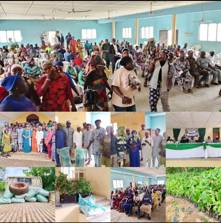 COMR. OLUWASEUN ADU DONATES 5,000 HYBRID COCOA SEEDLINGS TO IFEDORE FARMERS IN SUPPORT OF HON. DIPO AJIBOLA’S ADMINISTRATION COMR. OLUWASEUN ADU DONATES 5,000 HYBRID COCOA SEEDLINGS TO IFEDORE FARMERS IN SUPPORT OF HON. DIPO AJIBOLA’S ADMINISTRATION