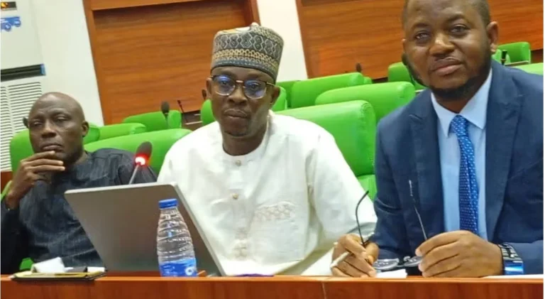 Businessman tells Reps he lost N400m to alleged fake PFIPC DG Businessman tells Reps he lost N400m to alleged fake PFIPC DG